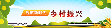 鄉(xiāng)村振興